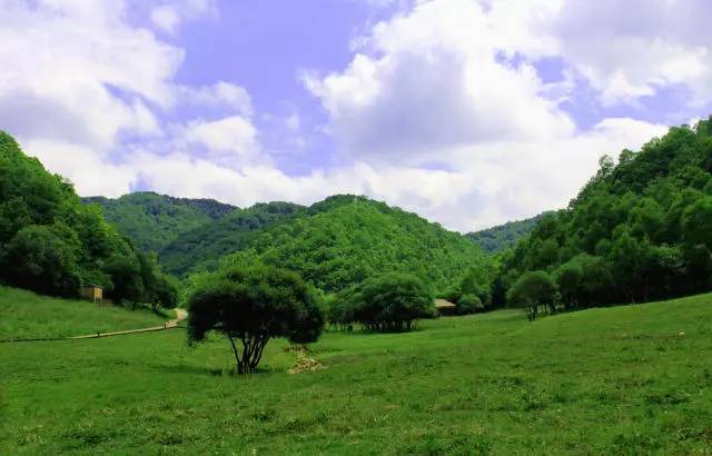 我的青春去旅游,我的青春我做主全集免费