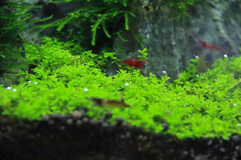 旅游时看到山川河流的感悟,旅游途中看到的景物