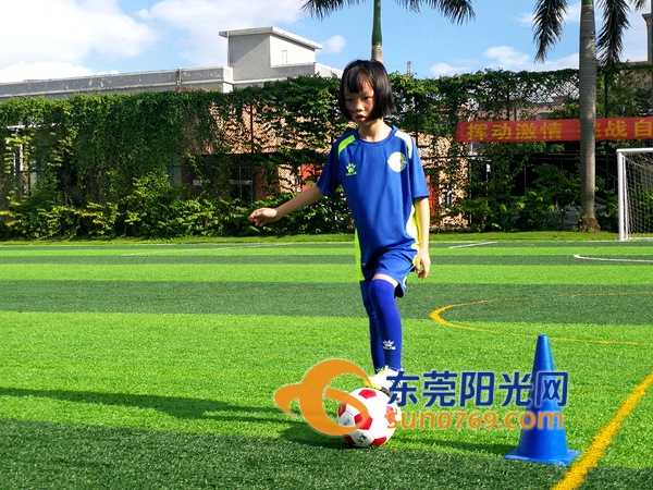 谢岗儿童兴趣培训,谢岗青少年篮球培训