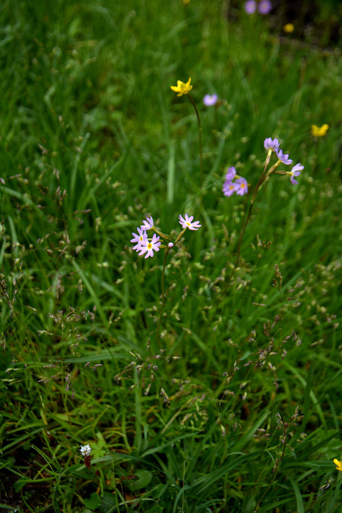 行者无疆-6月乌孙，漂洋过海为圣湖，翻山越岭因初心