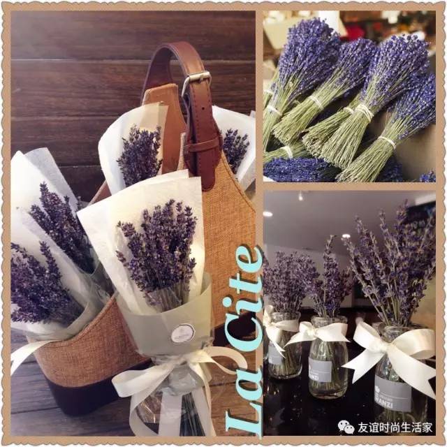 新疆伊犁薰衣草花海太美啦,石河子薰衣草专卖店在哪里