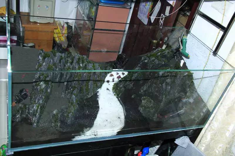 旅游时看到山川河流的感悟,旅游途中看到的景物