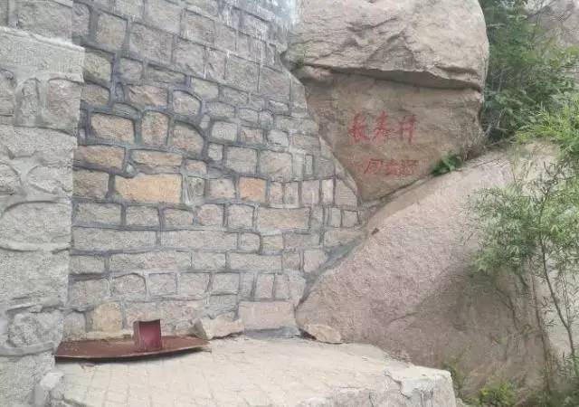 梳理崂山茶文化故事,崂山茶文化的基本介绍