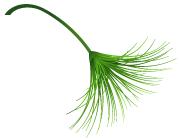 独辟新径创“浊毒”医精德高惠世人走进国医大师李佃贵