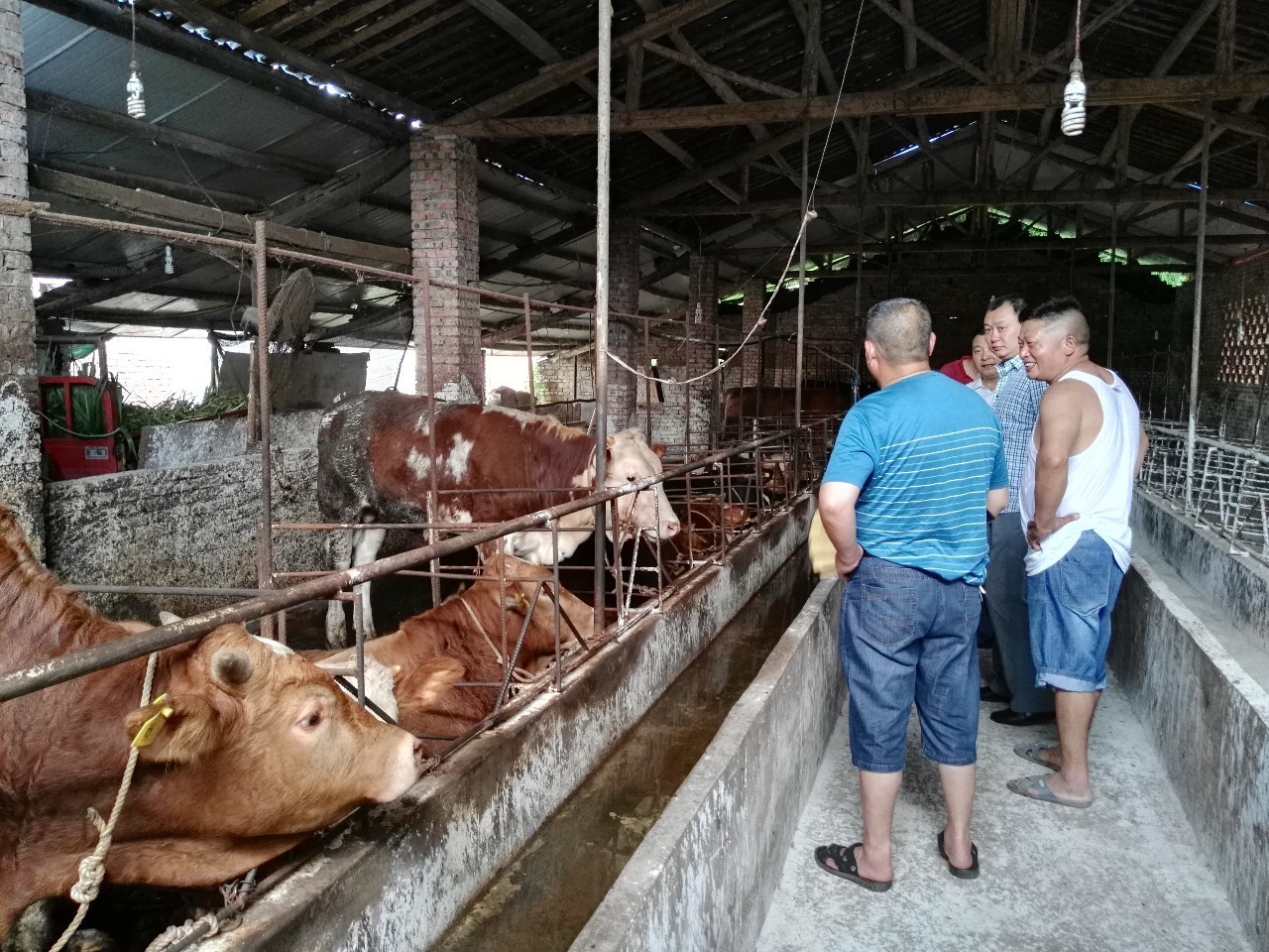 供销社深化综合改革实施方案,关于深化供销社改革促进乡村振兴