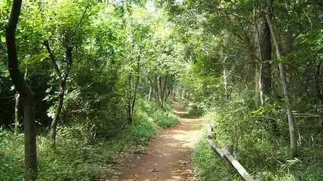 八月你好，我想去看看二次元的世界！