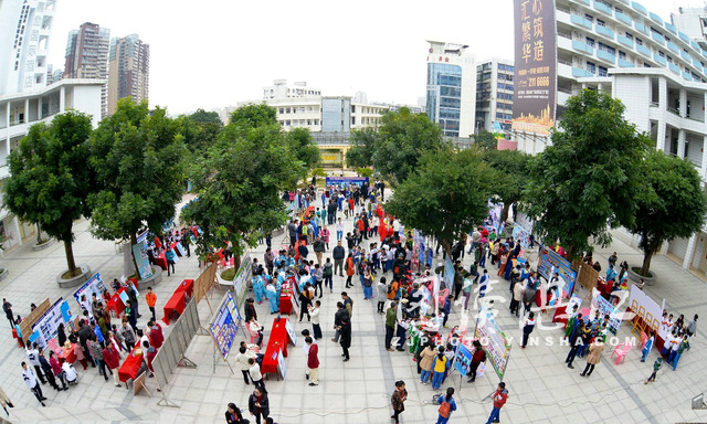 湛江市第十中学官网,2020湛江市第十中学官网