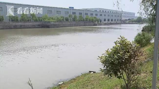 今朝上海｜永和大王、喜来稀肉相继被揭黑料，菜虫、疑似寄生虫横躺美食间，没想到网友的看法却截然相反！