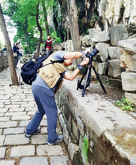 它被称作天上王城，更有中华第一崮美名，薄雾氤氲景色迷人