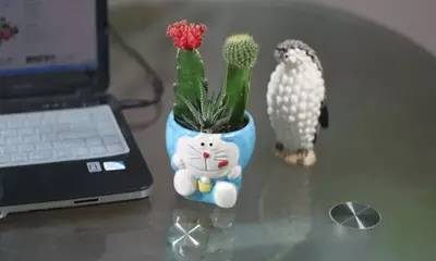 「辟谣」天然防辐射神器？被动运动就能轻松减肥？是真是假，看看就知道了