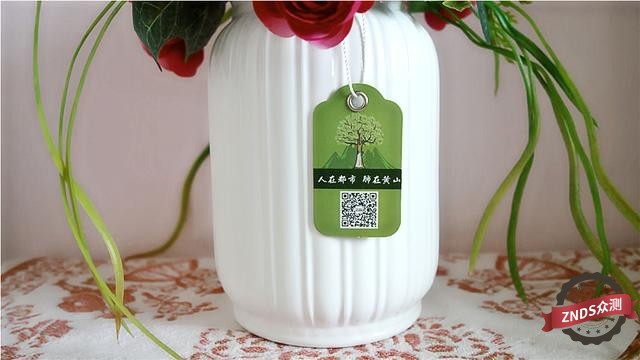 灿若夏花，静如秋叶——优山美地负离子仿真花空气净化器测评