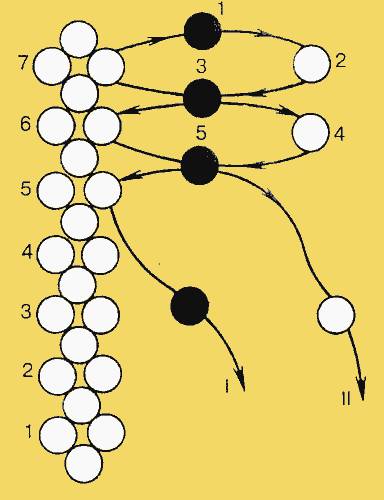她用鱼线把一颗颗圆珠串起来，竟然会变成这样！