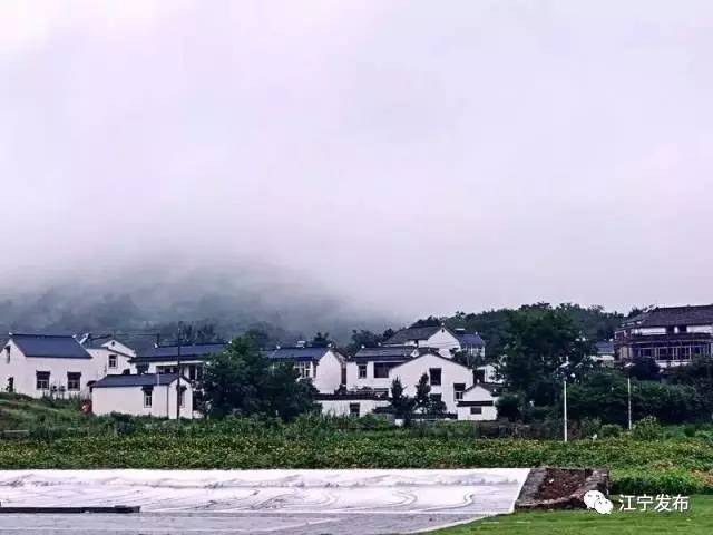 快看!这么完美的江宁,你还不来?