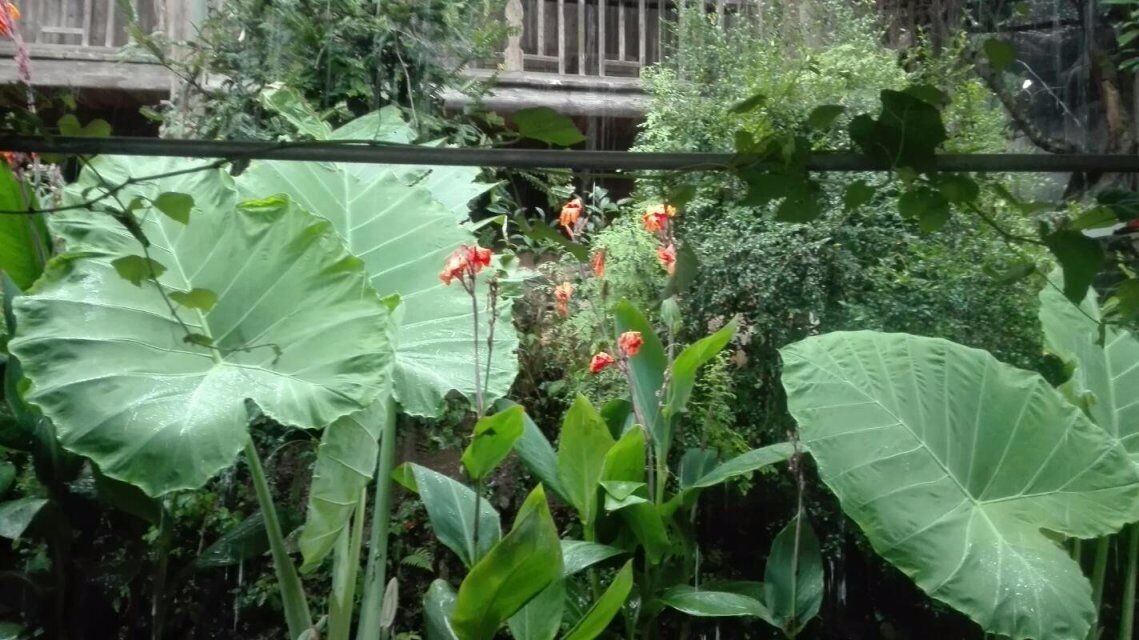 湖南小溪,湖南桂阳小溪