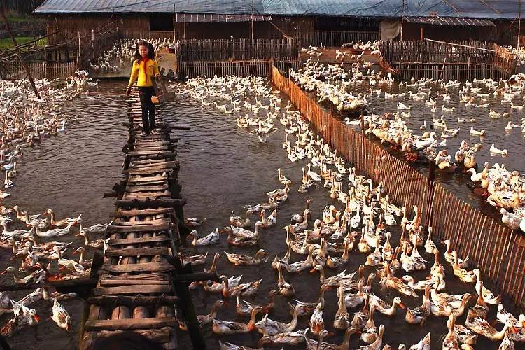 南昌2022动工的重大项目,南昌发布重大重点项目