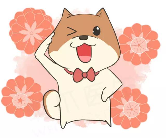 我家博美犬长得怎么样,博美犬8岁是老狗吗