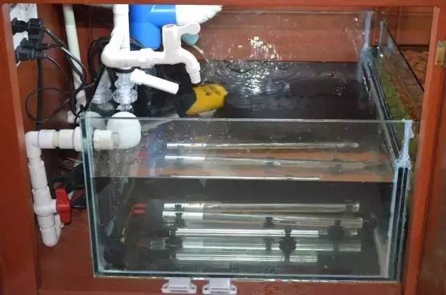 你还在傻傻的补水吗,你还在傻傻的浮潜吗