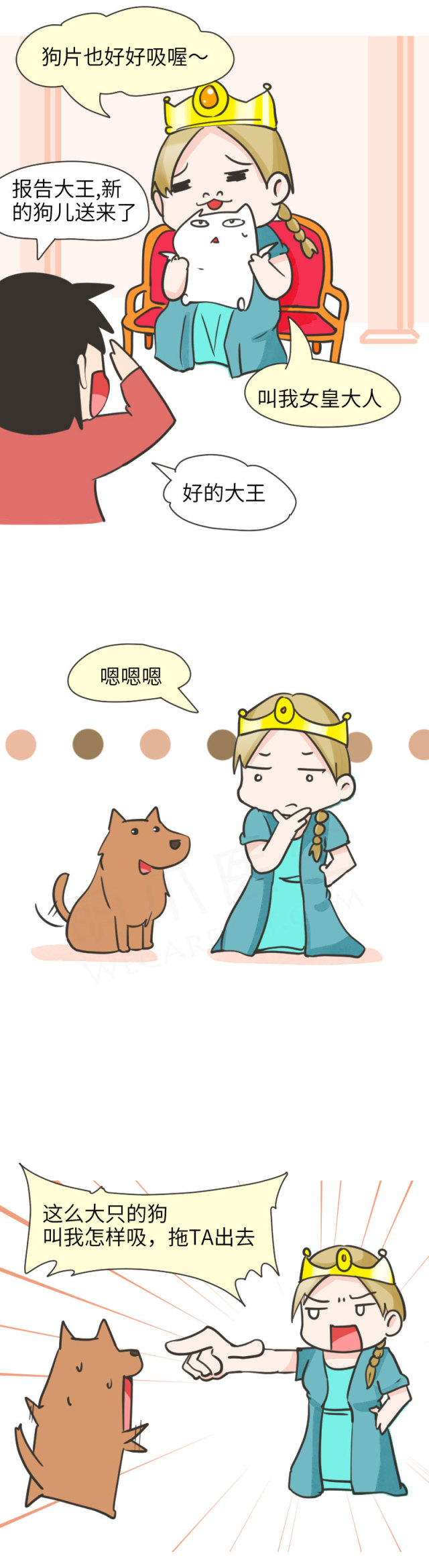 我家博美犬长得怎么样,博美犬8岁是老狗吗