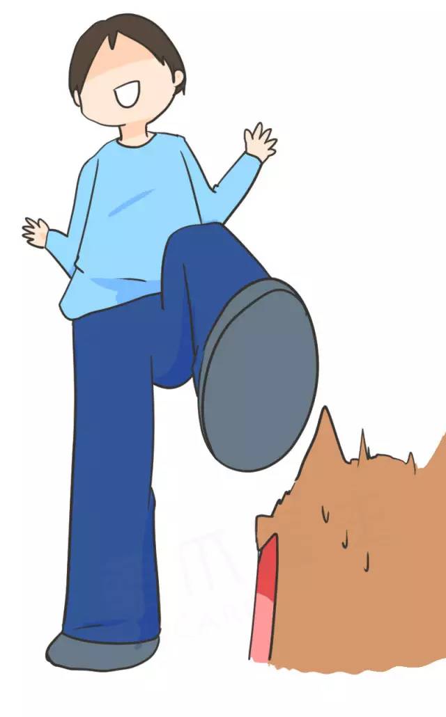 我家博美犬长得怎么样,博美犬8岁是老狗吗