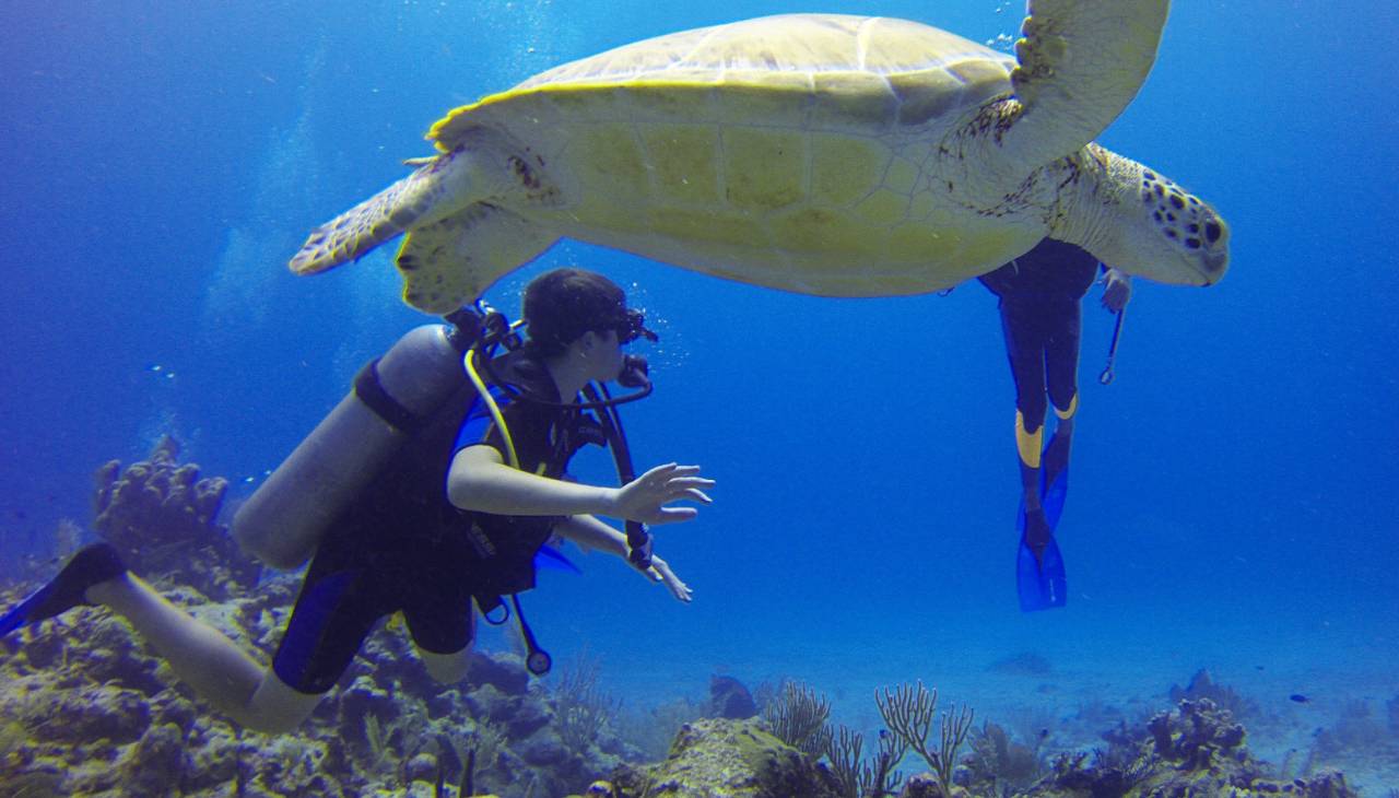 濡欏鐤楁剤,濡欏