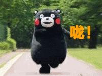 情人节送巧克力应该送什么样的,情人节送花和巧克力代表什么含义