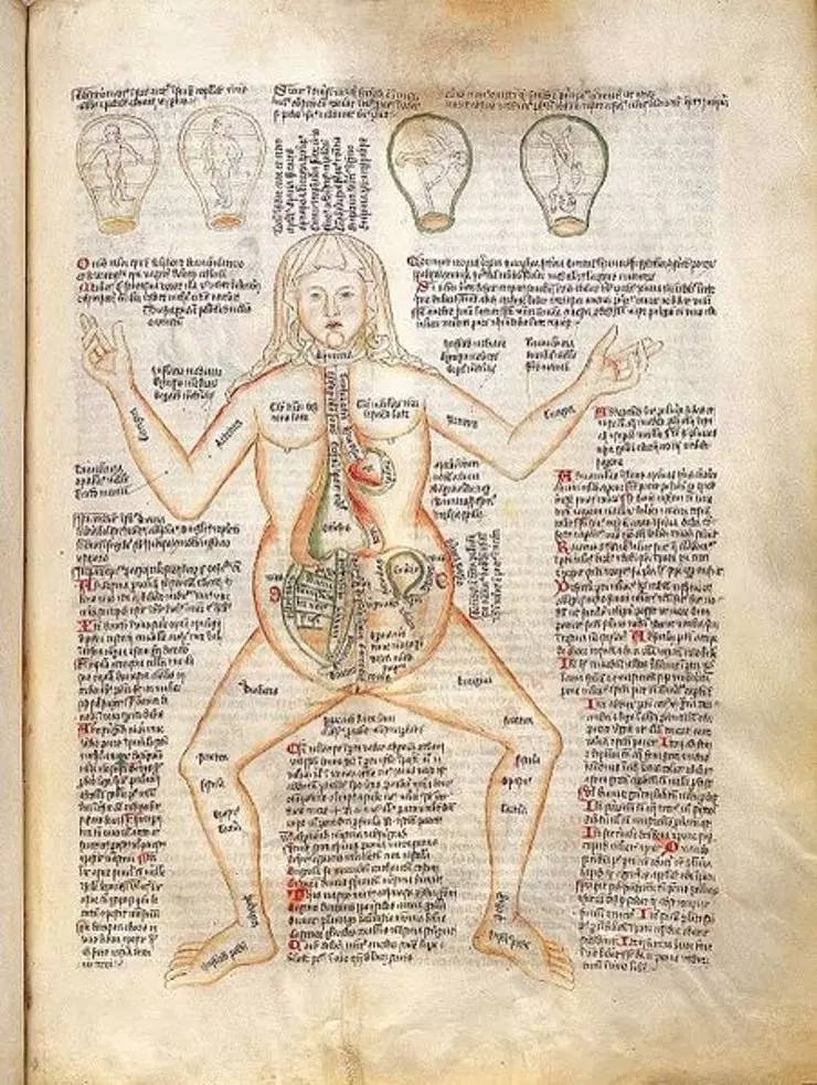 中世纪的人遇到不孕不育如何处理？