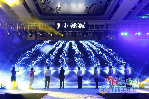 南昌经济开发区入驻企业,南昌企业入驻产业园区