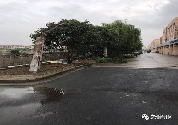 焕新颜｜横林镇投入50万，横林地板城及周边环境整治提升！