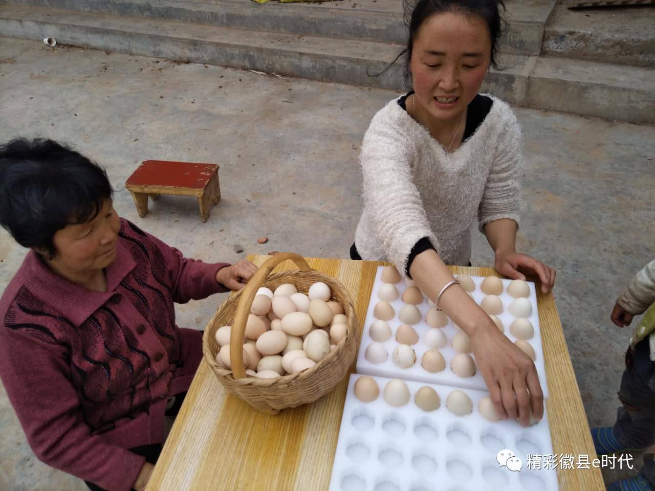 梁倩娟农村电商直播,梁倩娟谈电商政策