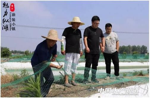 泥鳅养殖技术的最新视频,泥鳅养殖技术和视频