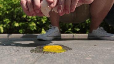 两天跑遍岛内外十几家小众饮品店，这里总有一杯你没喝过的茶