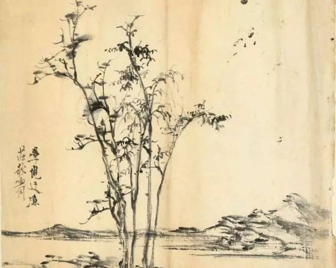 洁癖到极致，是什么体验？会有什么运势？