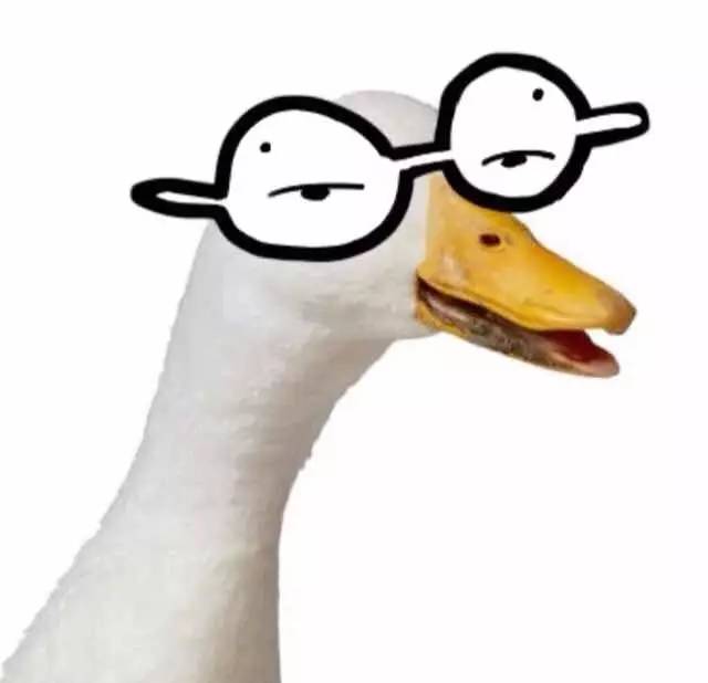 南北方差异的小总结,南北方十大差异