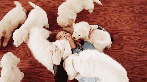 速看!南环菜场的这张告示彻底让这群人傻了眼只因他做了这件事