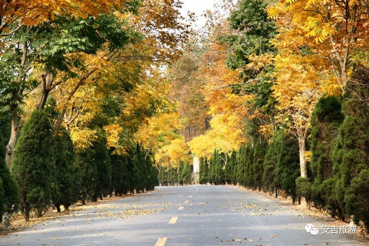 中国大竹海游玩攻略,浙北安吉大竹海攻略