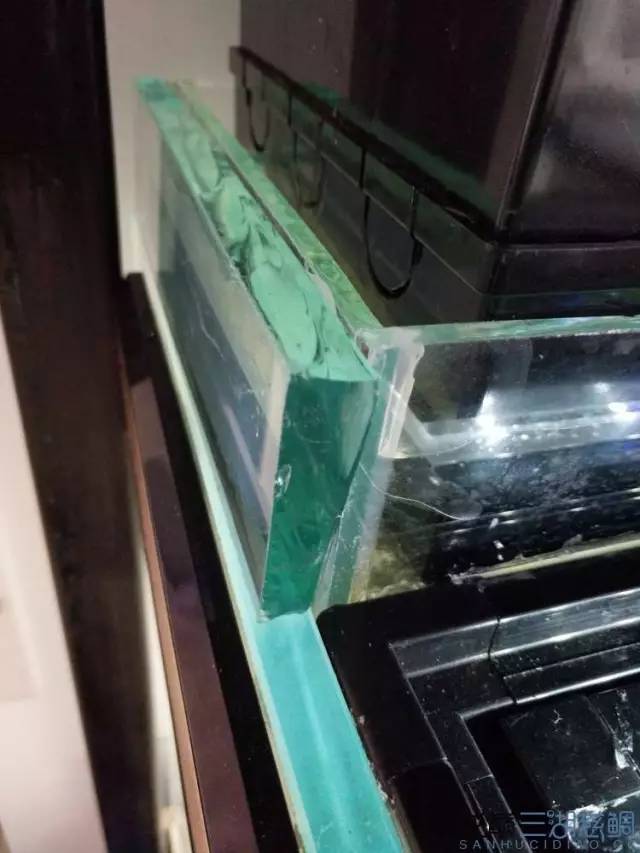 从零开始原生缸,从零开始造景缸