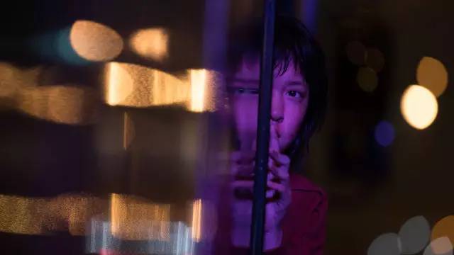 玉子深度解析,玉子讲了什么