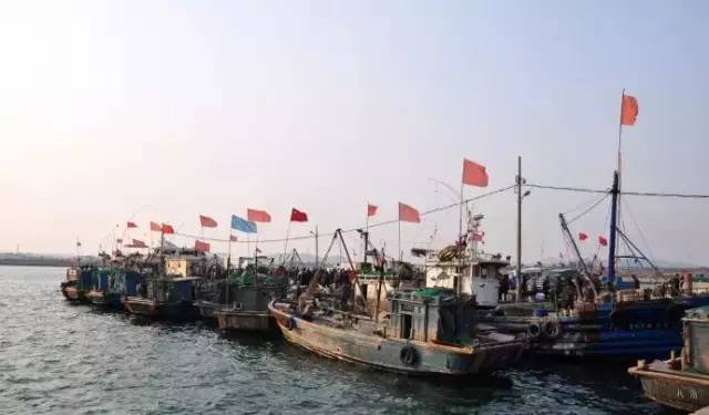 原创｜烟台一年最嗨的日子来了！即将开海，这些图却火了