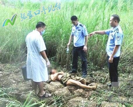 张家口新闻联播回放10月21号,张家口新闻台