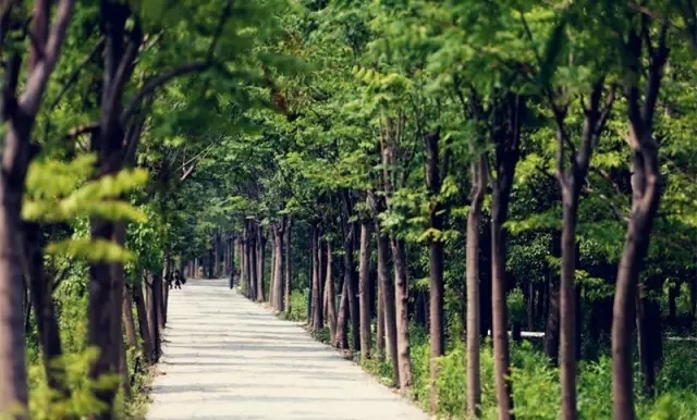 上海嘉定区世外学校,上海嘉定世外学校地址