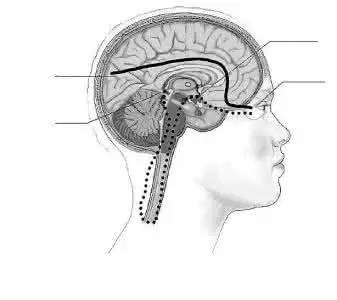 天津各个医院强势科室,天津医院科室