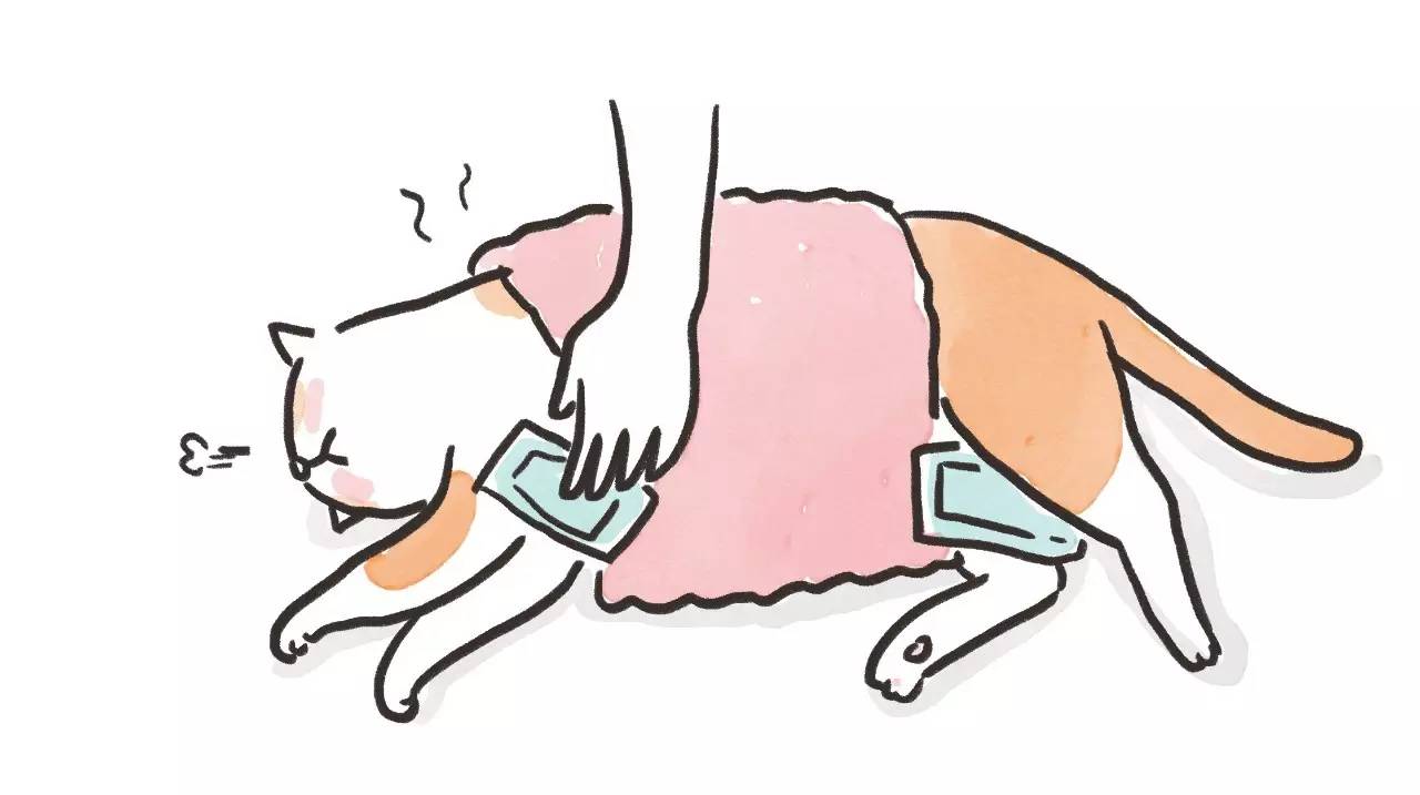 救命啊!主子溺水、触电、中毒了怎么办?!丨强档