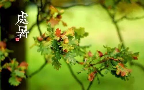 处暑养生请牢记这三条秘诀,明日处暑养生知识