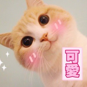 iphone4s如何降级ios6.1.3,iphone4s降级6.1.3方法