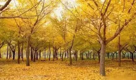 原创｜烟台一年最嗨的日子来了！即将开海，这些图却火了