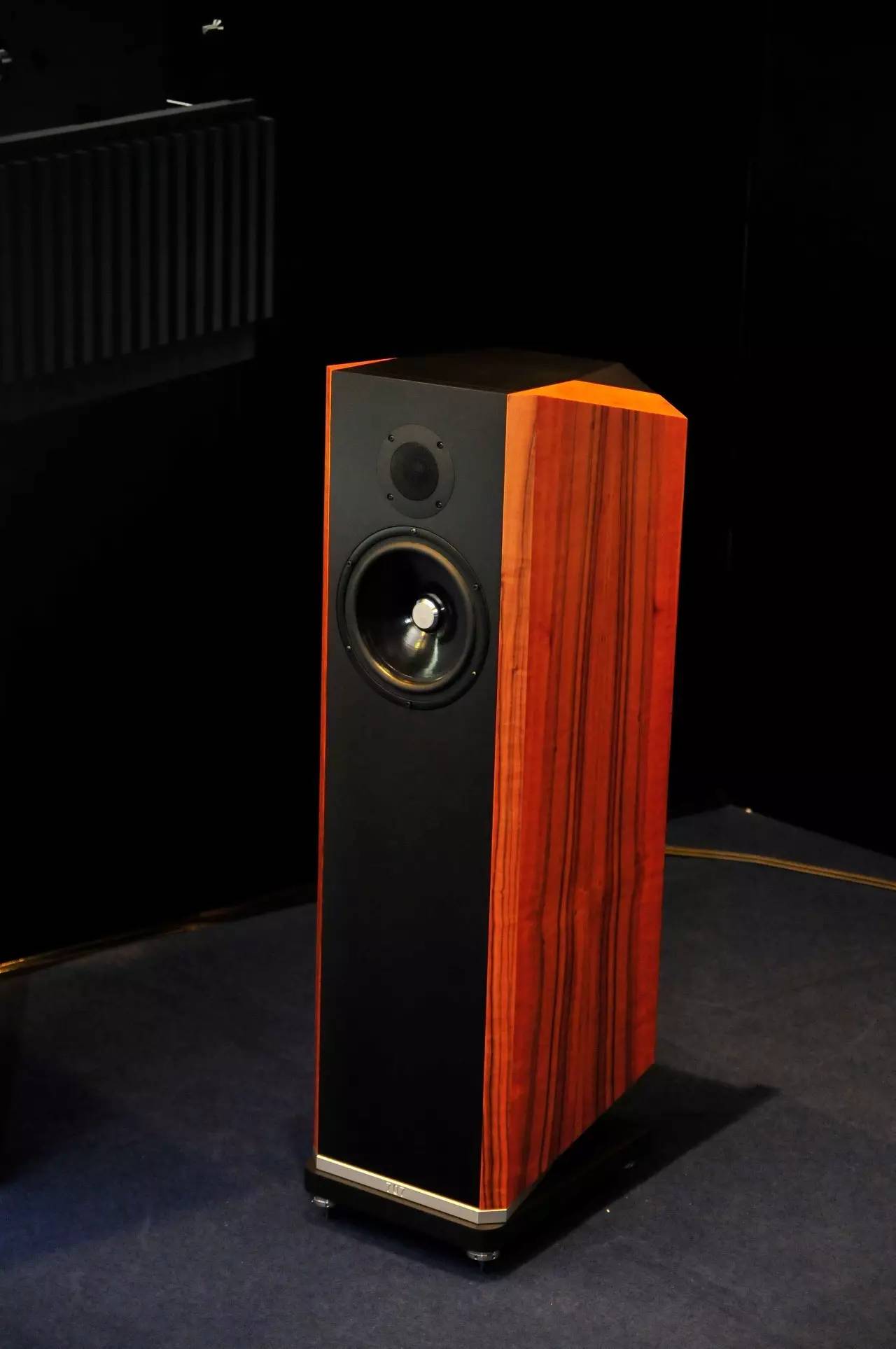 香港高级音响展,2011年香港高级视听展