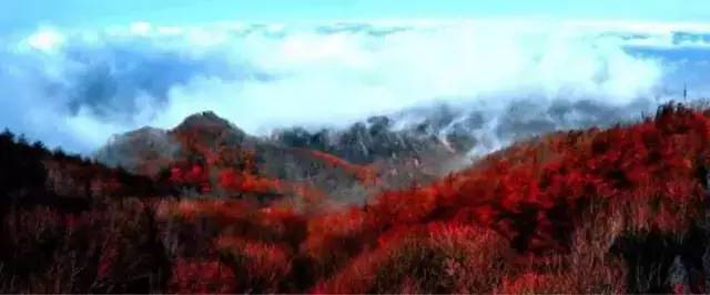 原创｜烟台一年最嗨的日子来了！即将开海，这些图却火了