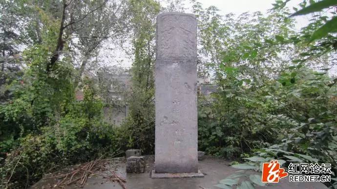 杜甫草堂故居是真实的吗,杜甫之墓真实照片