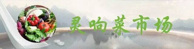 在福州如果有“孤独患者”，先带他来这些菜市场