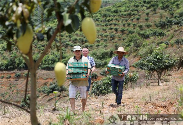 邮政精准扶贫助农增收,中国邮政扶贫助农视频